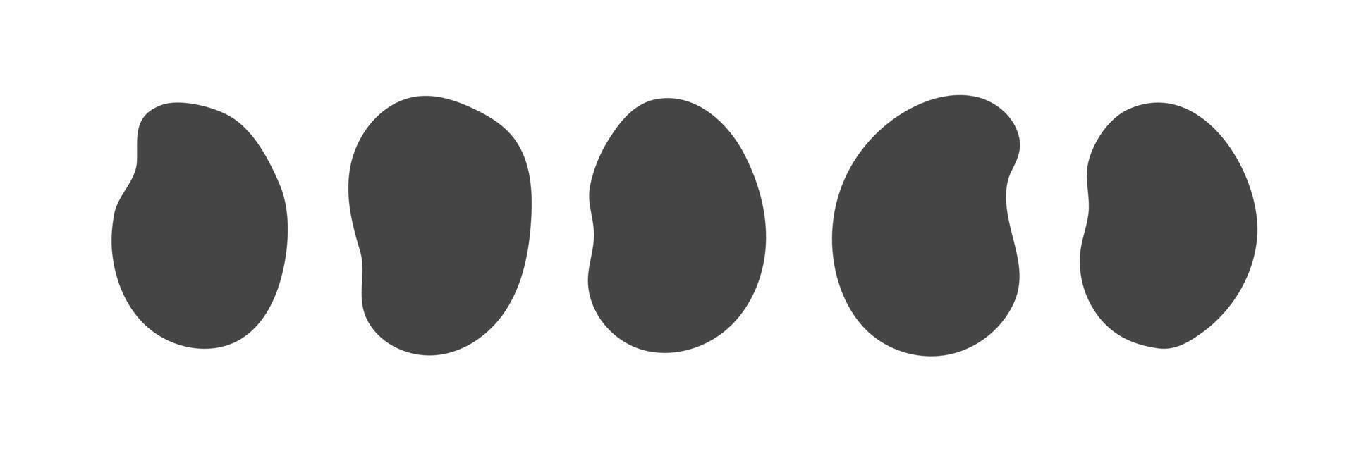 Black fava beans set. illustration vector