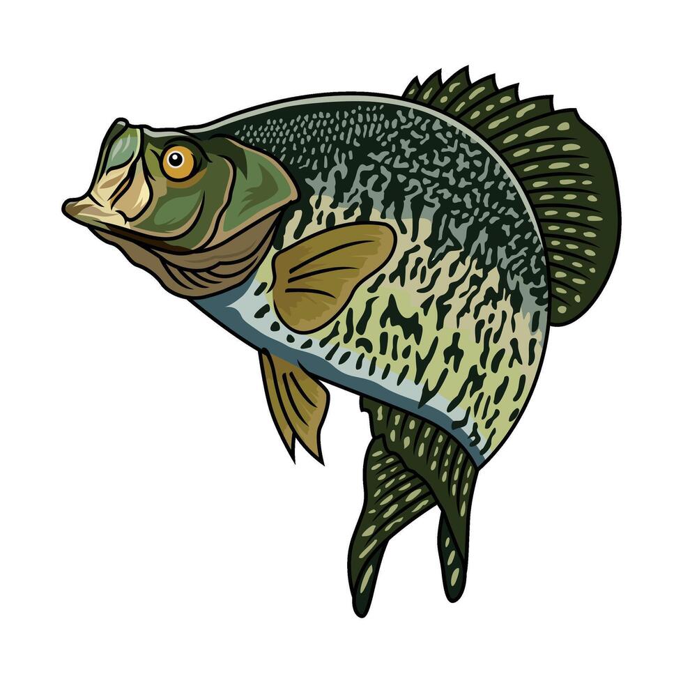 crappie fish jumps after prey fishing illustration logo vector