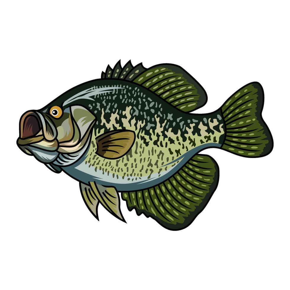 crappie fish with open mouth fishing illustration logo vector