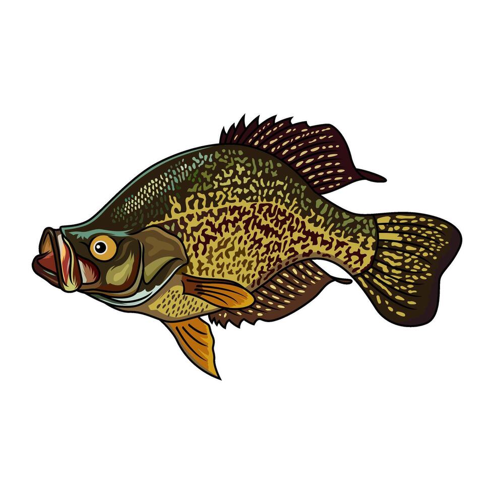 crappie fish twisting fishing illustration logo vector