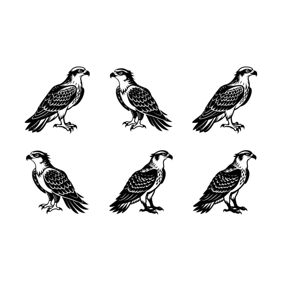 Osprey Graphic Design File for Commercial Use vector