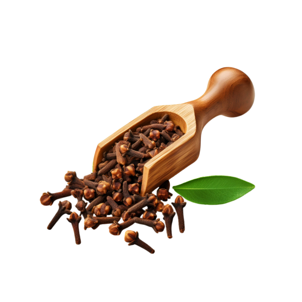 Wooden spoon of fresh clove spice on transparent background png