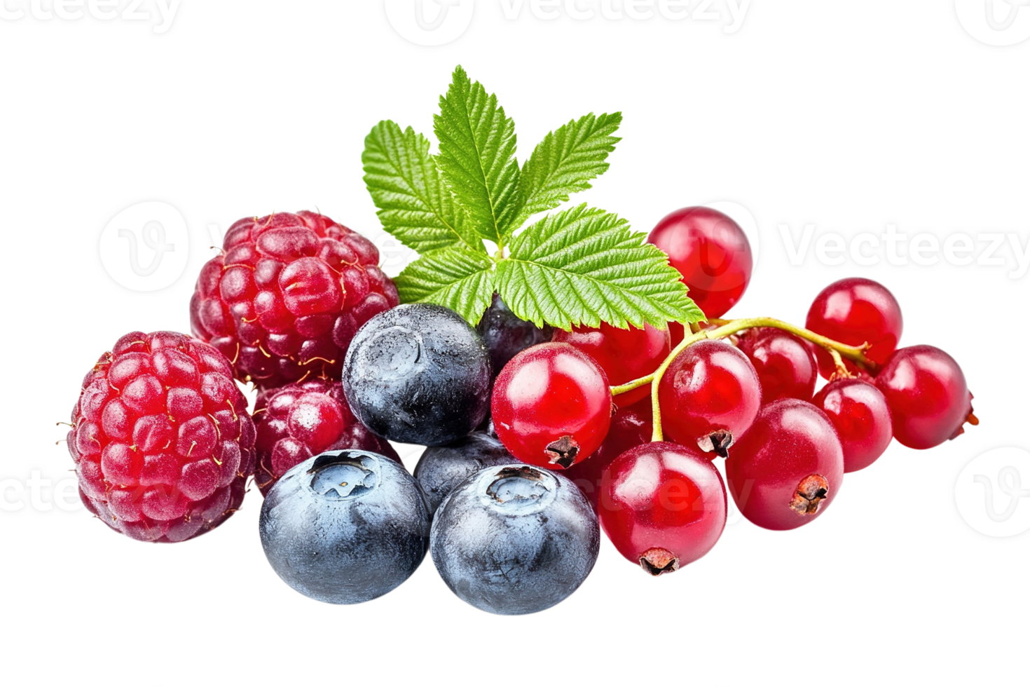 Fresh Assortment of Berries with Leaf png