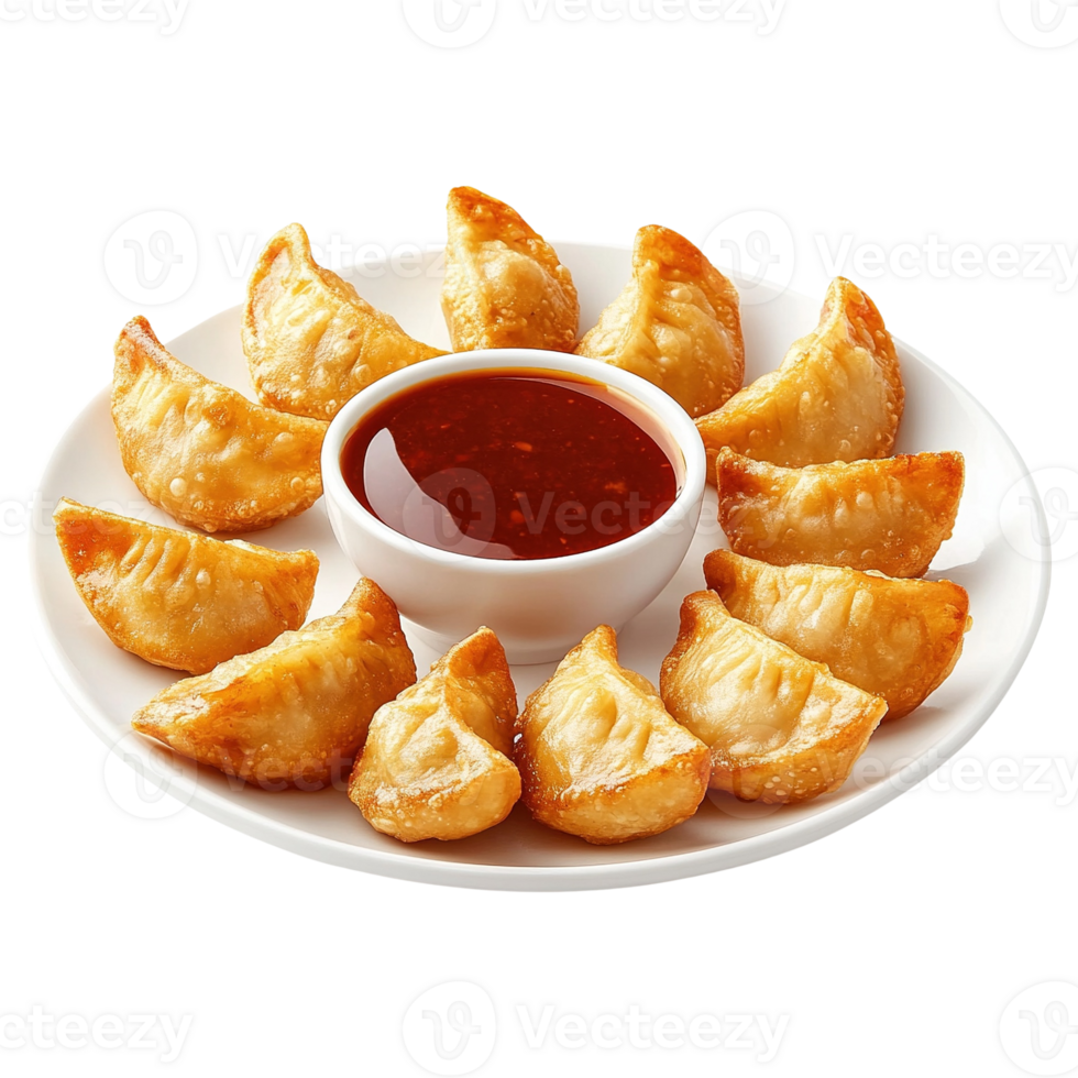 Fried Dumplings with Dipping Sauce png