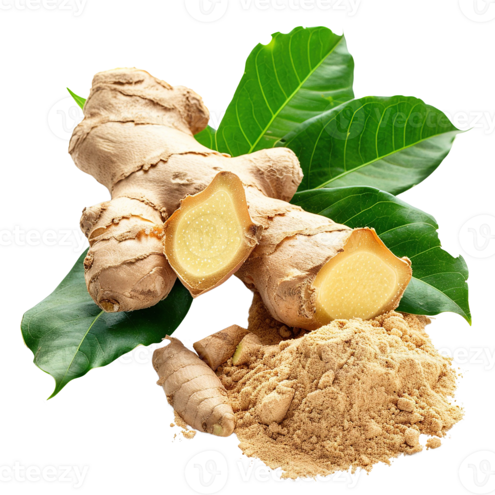 ginger and ginger powder isolated on transparent background png