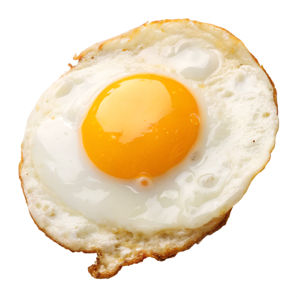 fried egg on a plate png