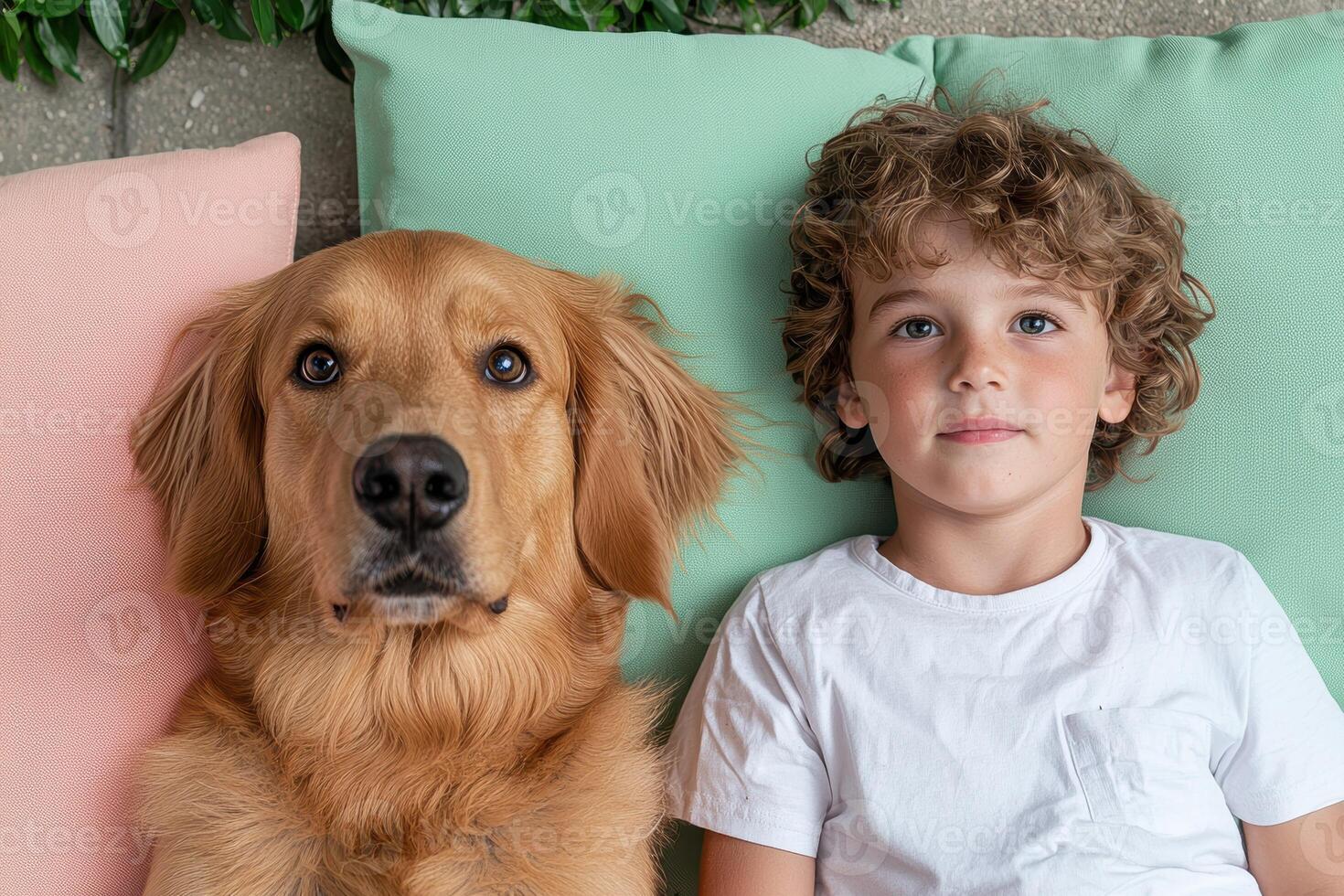 Golden Retriever and child relaxing together on pastel cushions photo