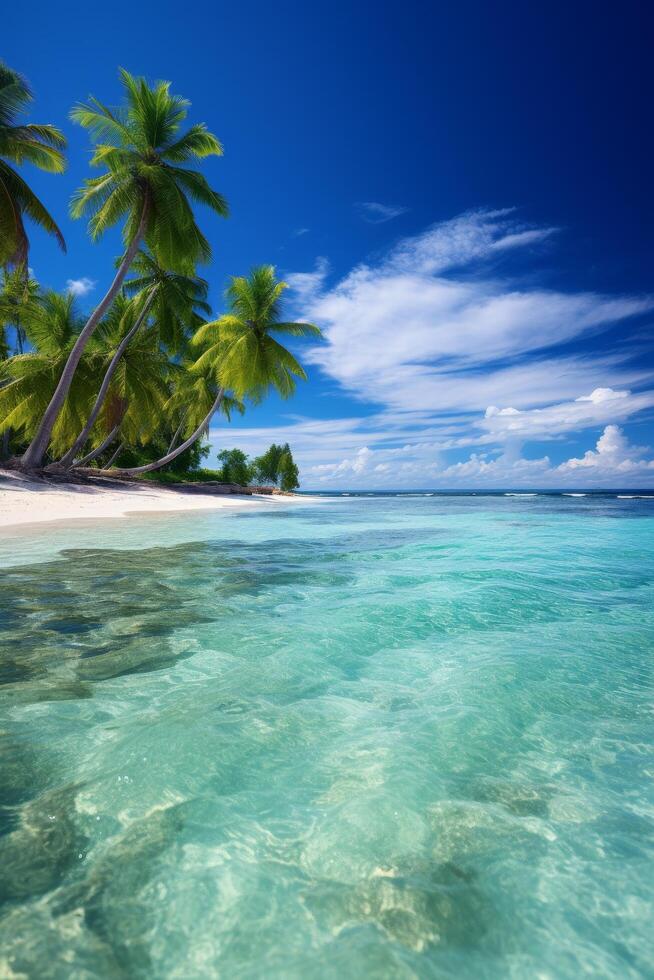 Tropical beach paradise with palm trees and turquoise waters photo