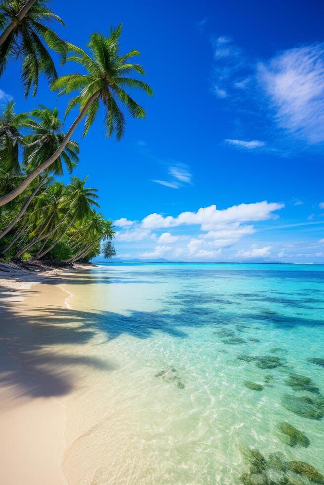 Tropical beach paradise with palm trees and crystal clear waters photo