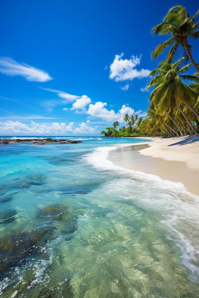 Tropical beach paradise with palm trees and crystal clear waters photo