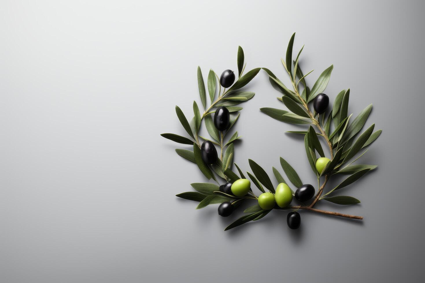 fresh green and black olives on a branch photo