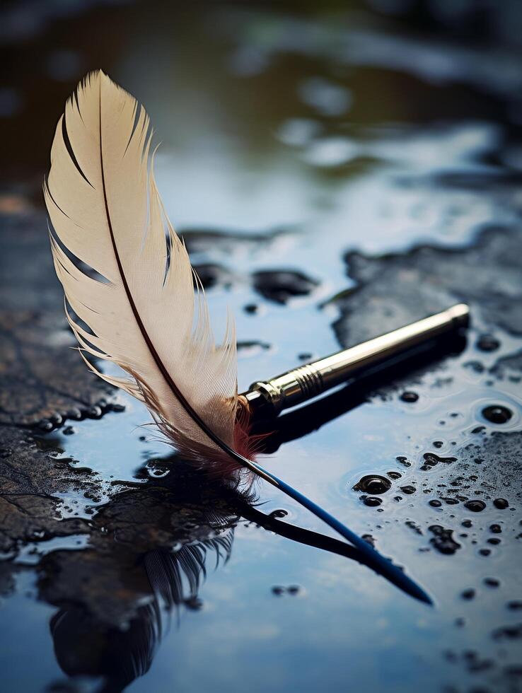 Feather and quill pen on water reflection photo