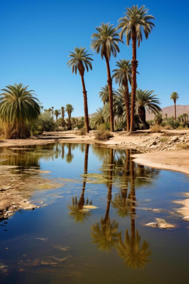 Serene oasis in the desert photo
