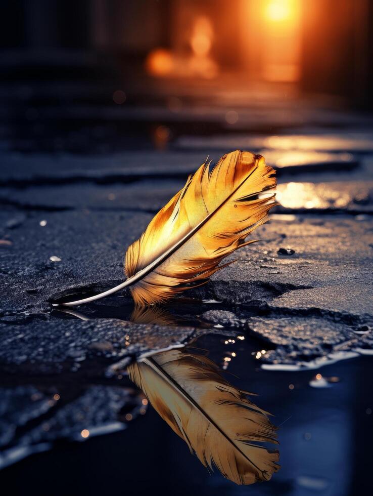 Glowing feather reflection on icy surface photo