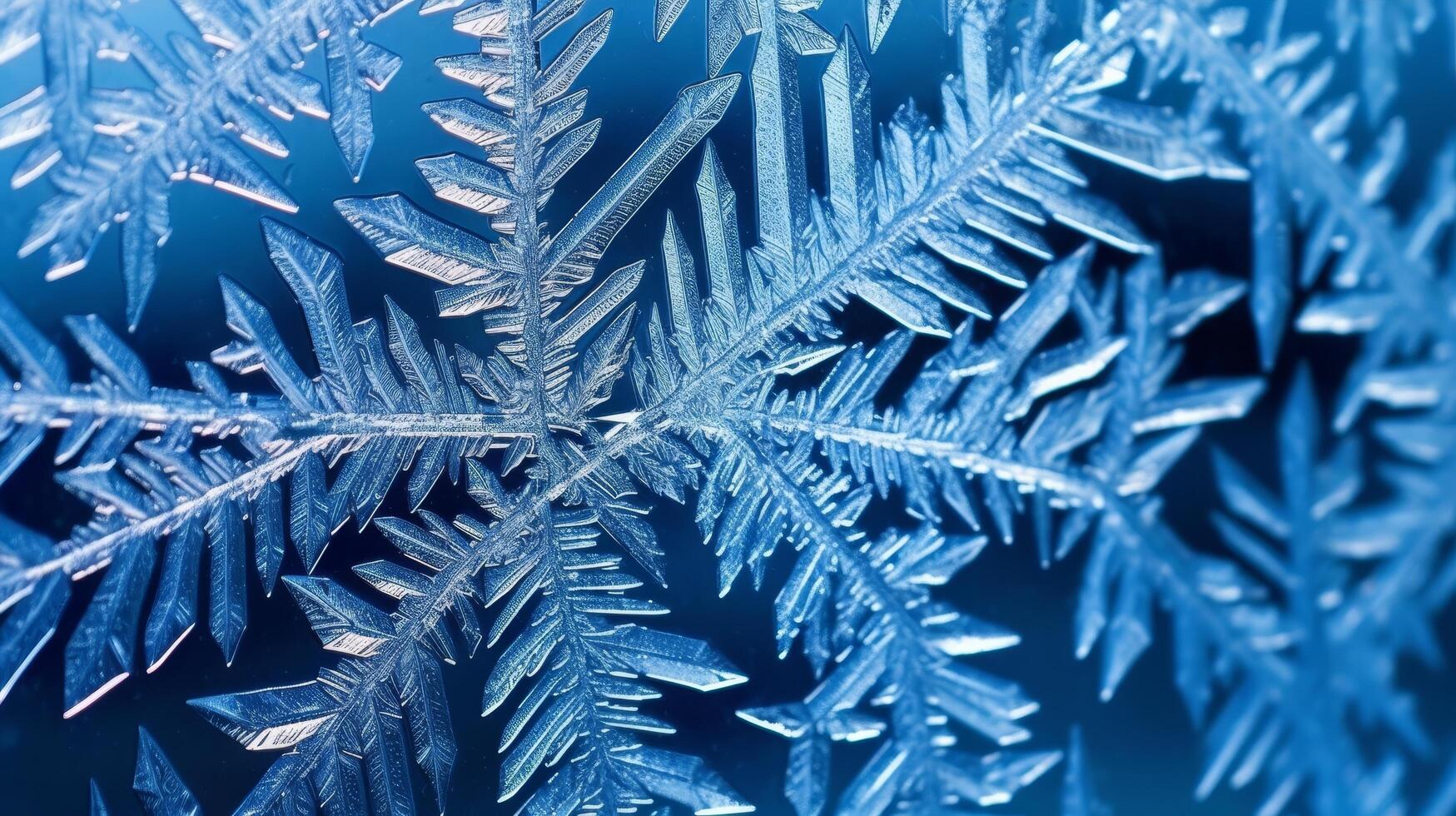 Intricate ice crystal patterns photo