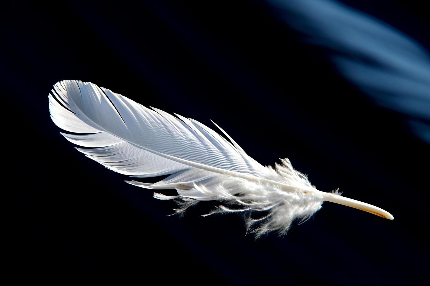 Delicate white feather floating against dark background photo
