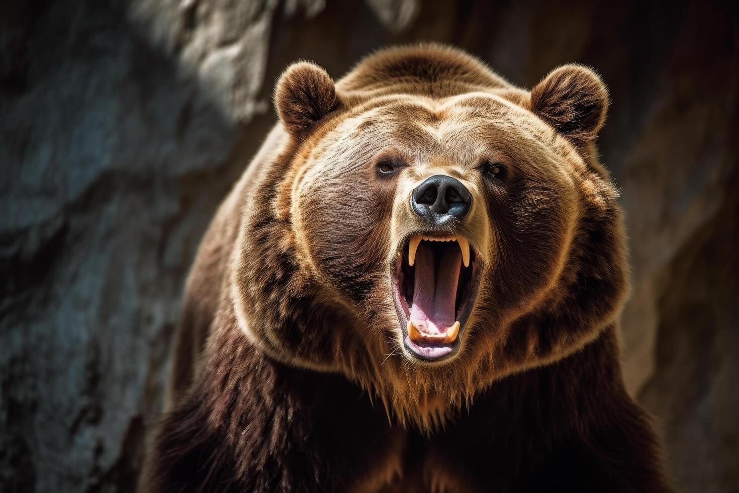 Fierce grizzly bear roaring with open mouth photo