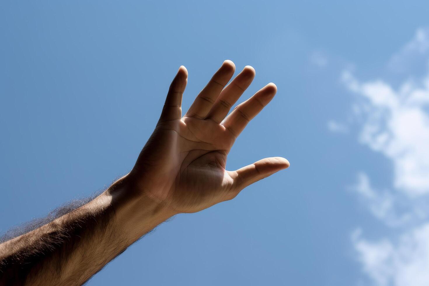 Reaching for the sky photo