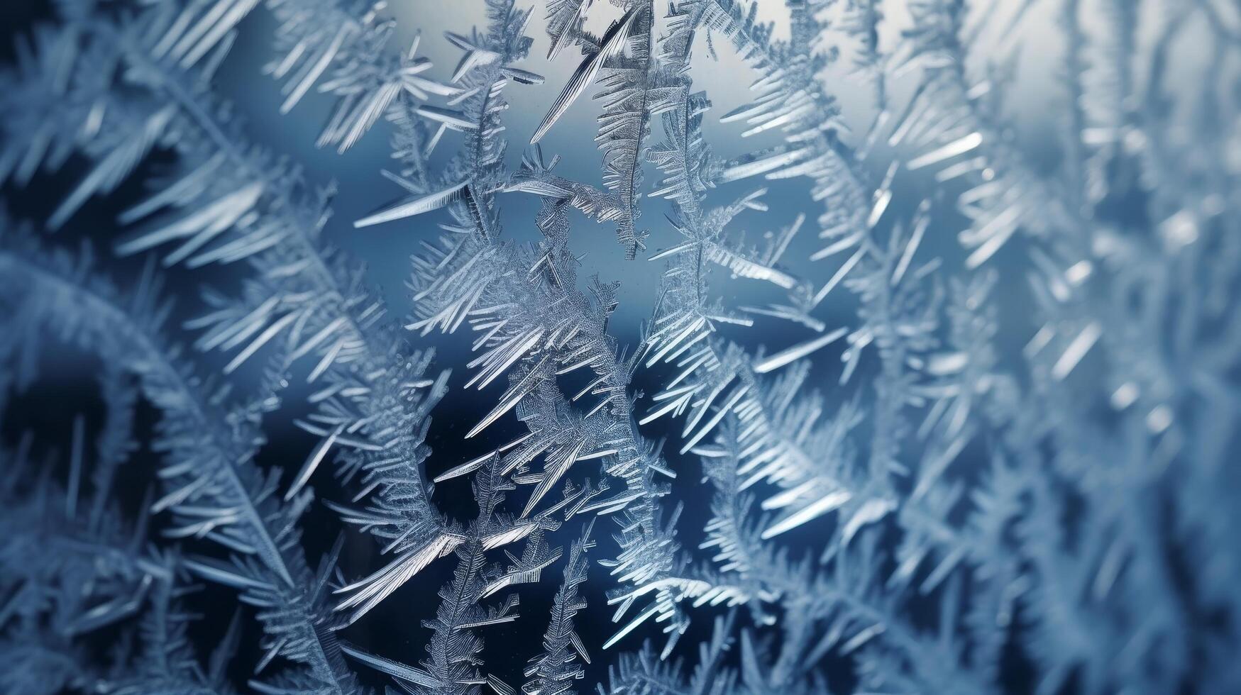 Intricate ice crystal formations photo