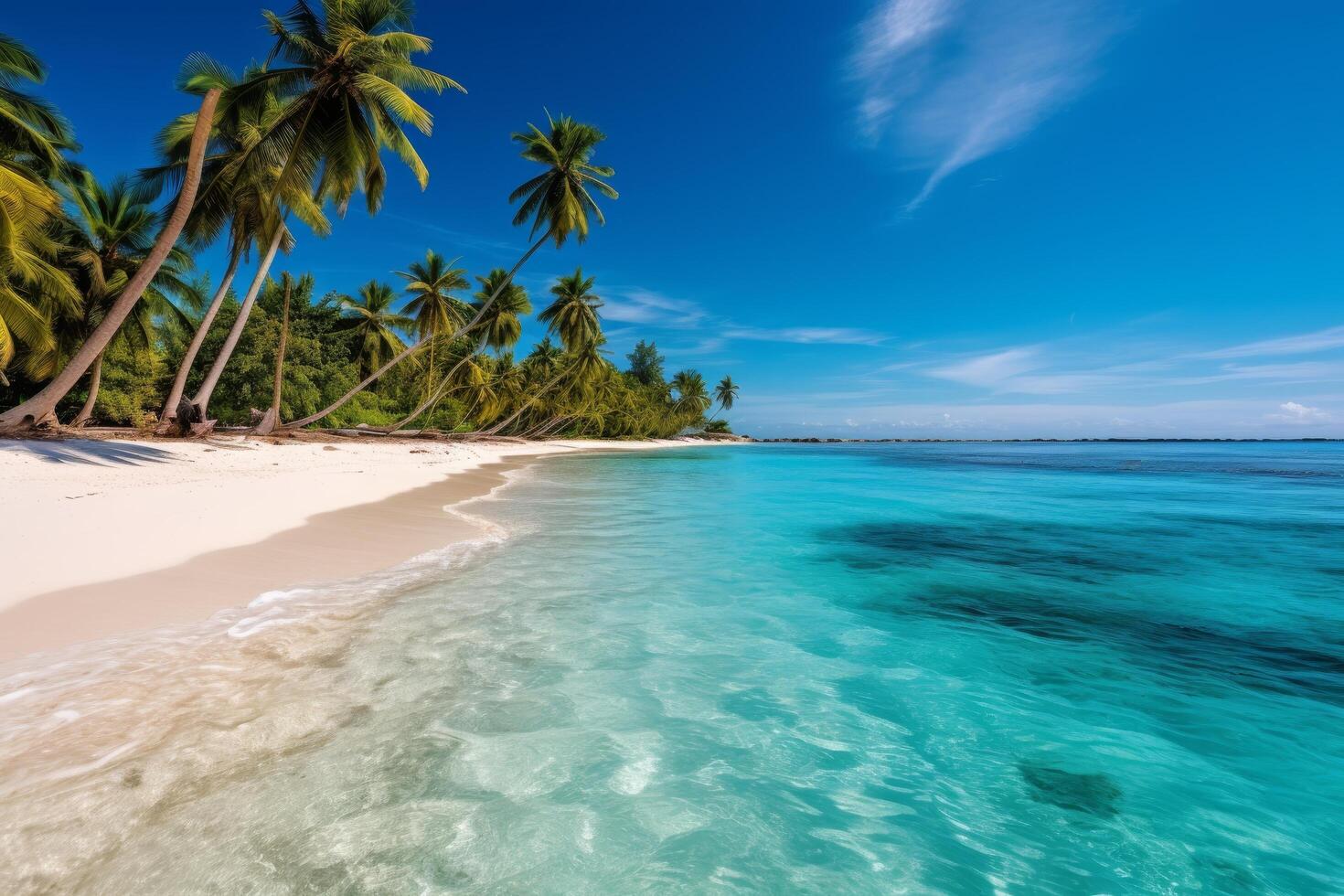 Tropical beach paradise with palm trees and turquoise waters photo