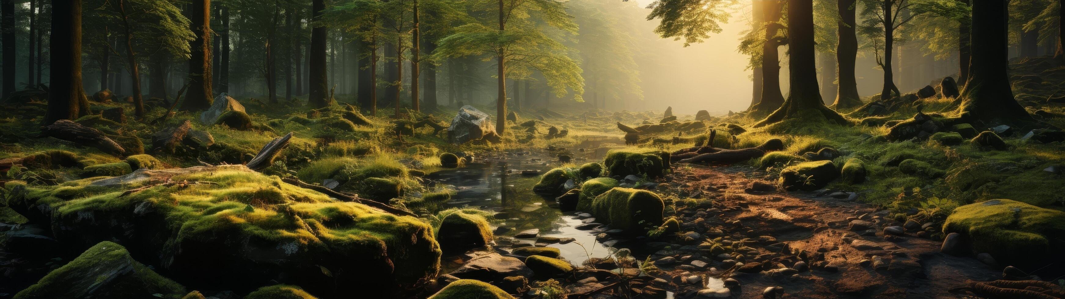 Enchanted forest landscape with stream and sunlight photo