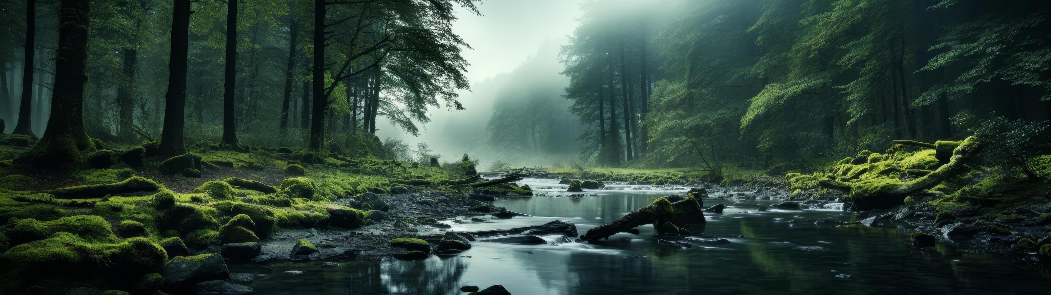 Serene forest stream in misty landscape photo