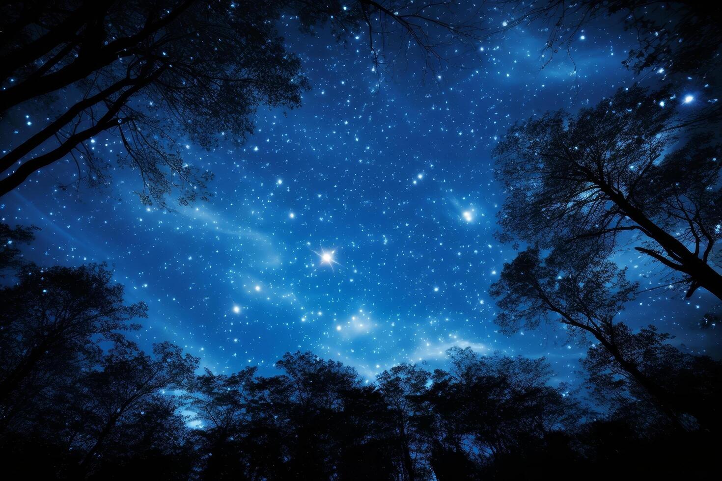 Starry night sky with silhouetted trees photo