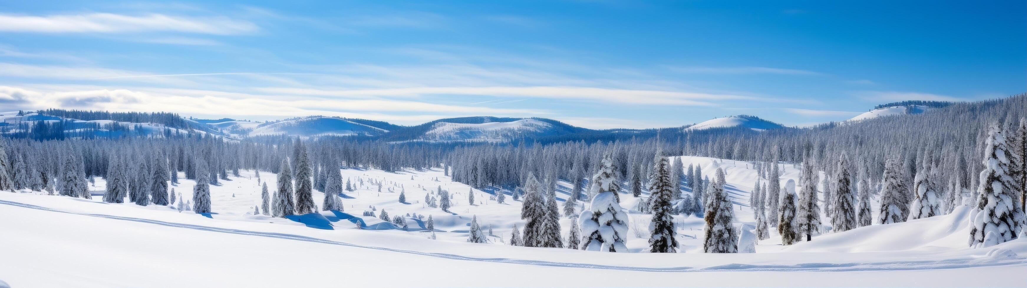Snowy winter landscape with pine trees and mountains photo