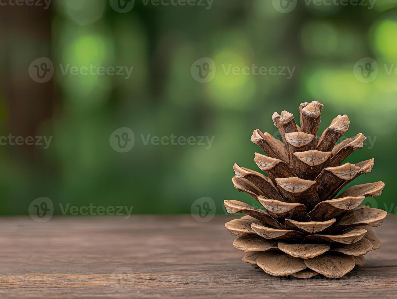 Single pine cone on wooden surface with blurred green background photo