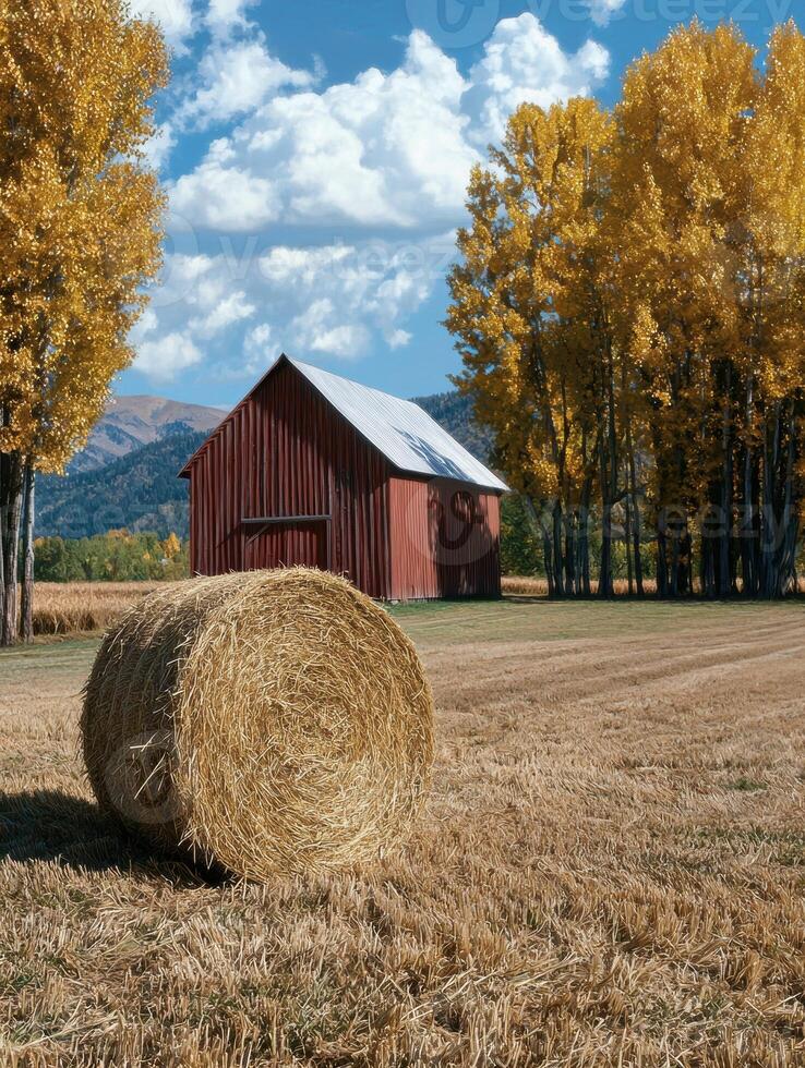Autumn Harvest, Hay Bale in Front of Rustic Barn photo