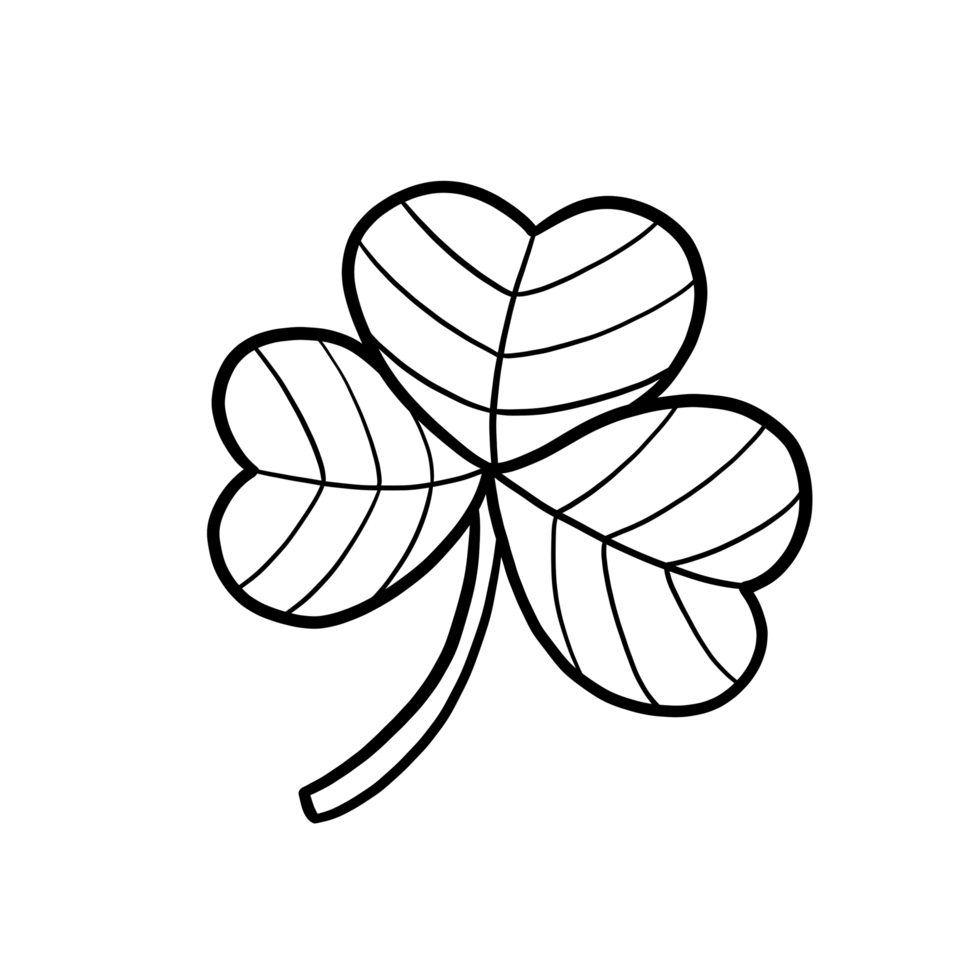 Illustration of a Samlock leaf outline with 3 leaves, a symbol of St. Patrick's Day. The illustration has a simple white background and is cut with black lines. png