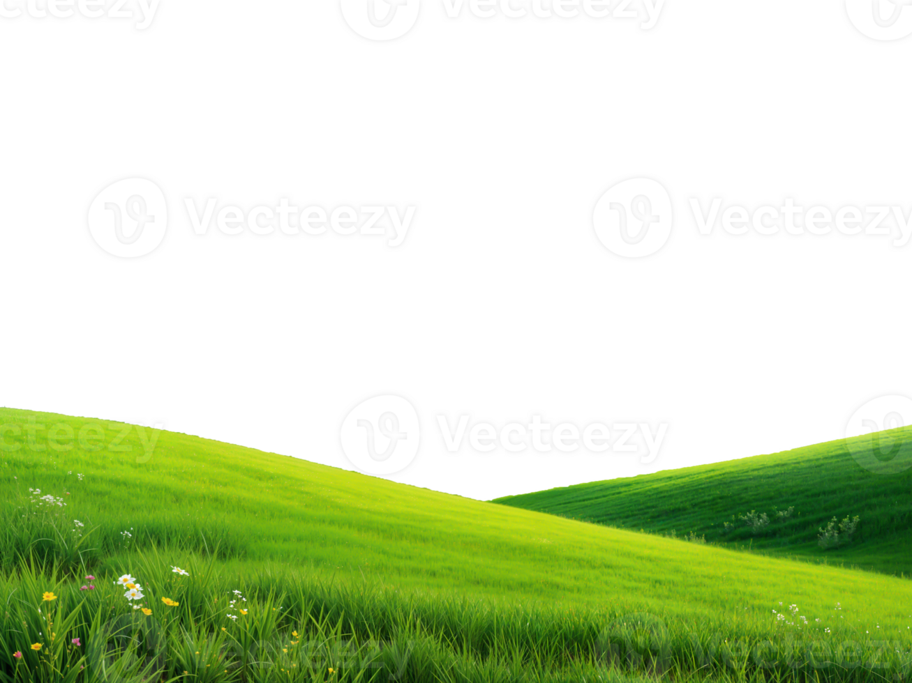 wide panorama of beautiful hilly meadow grass landscape cut out isolated on transparent background png
