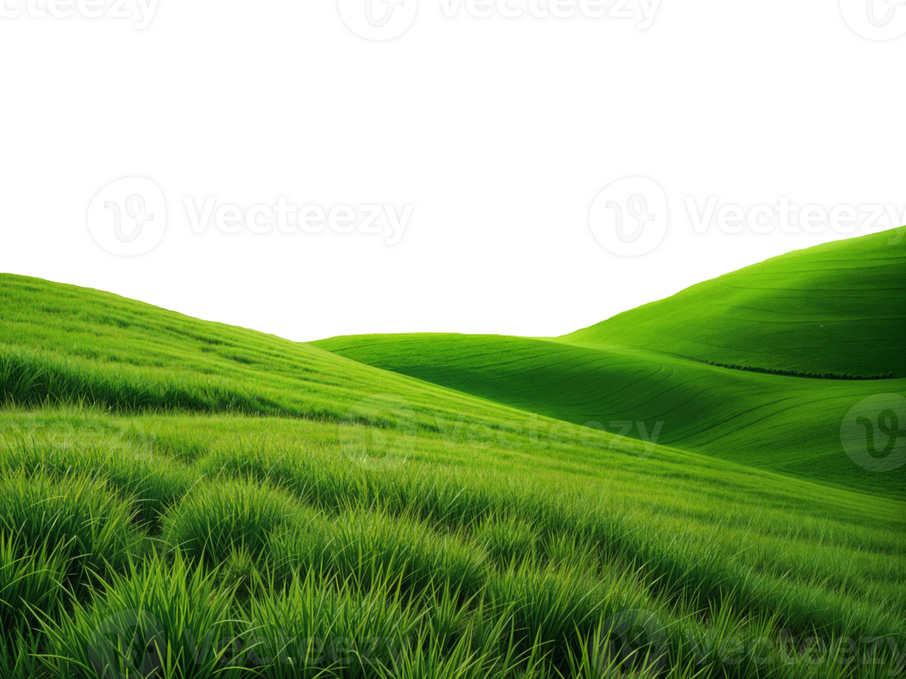 green grassland landscape cut out isolated on or transparent background png