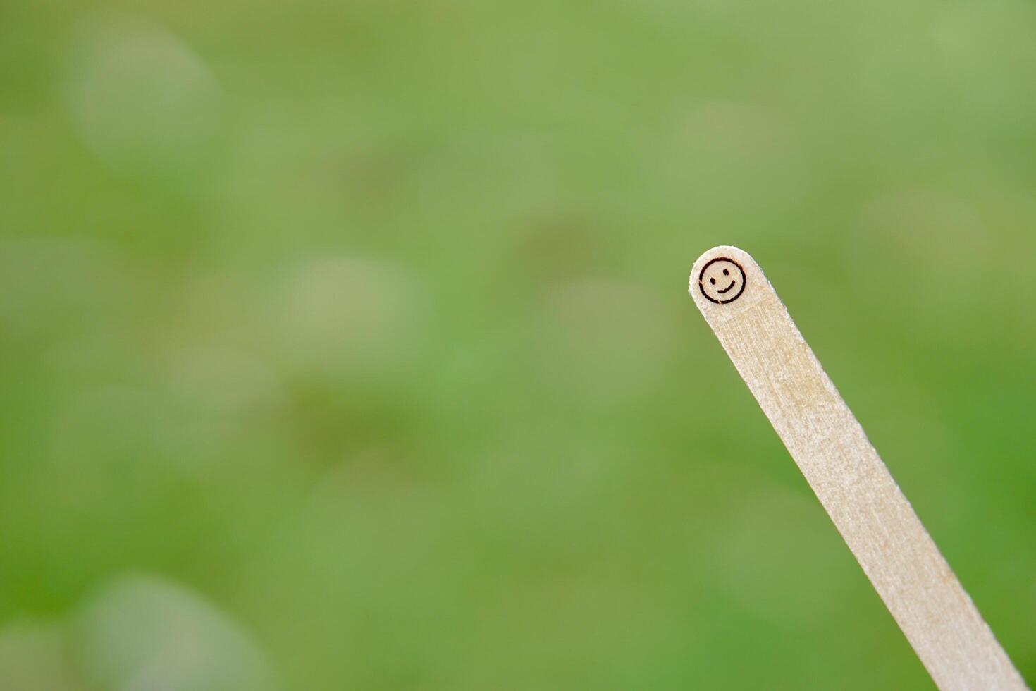 close up of smiling emoji on a popsicle stick as a concept of the spirit of life photo