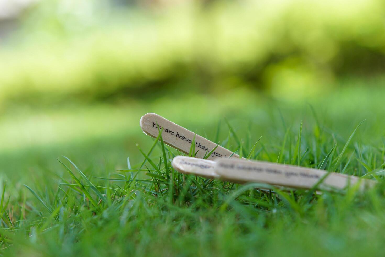 close up of the message on the ice cream stick on the grass as a concept of the spirit of life photo