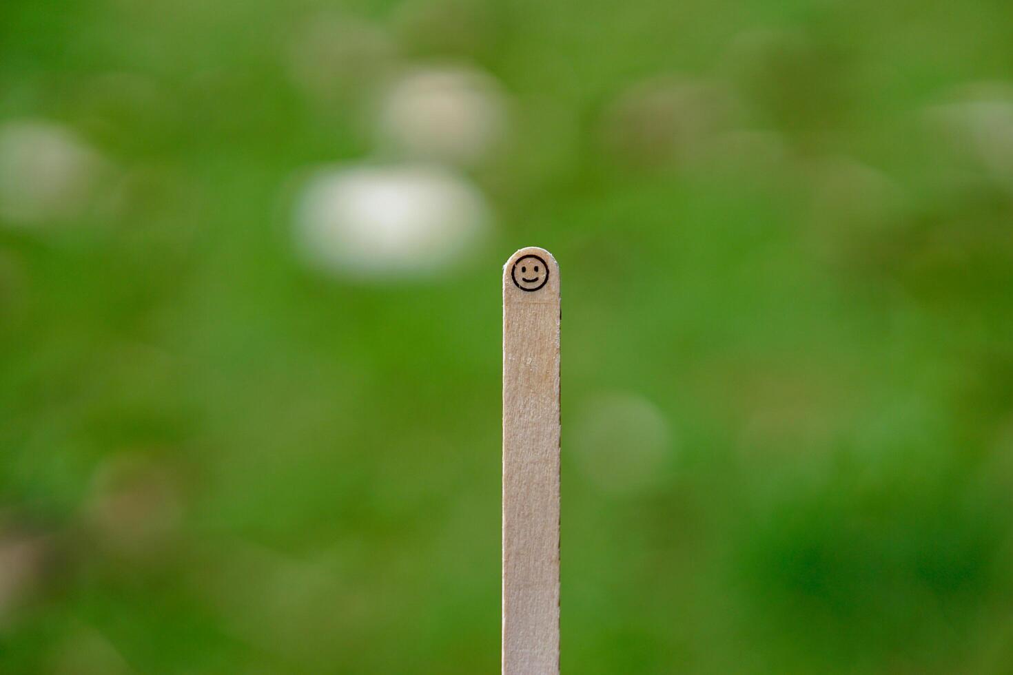 close up of smiling emoji on a popsicle stick as a concept of the spirit of life photo
