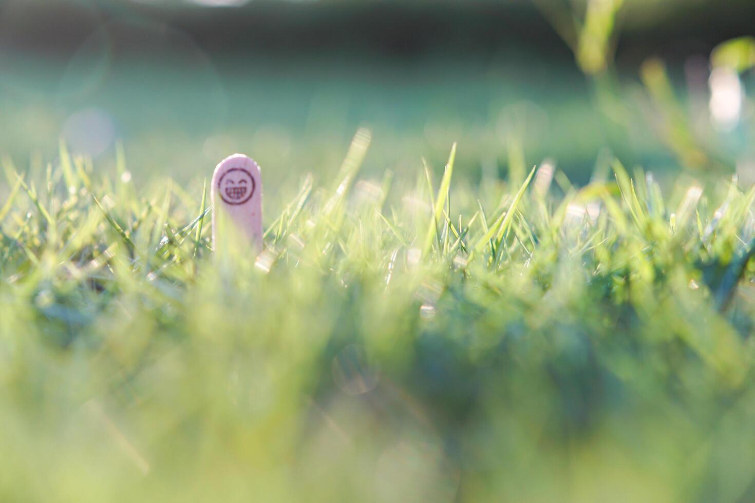 close up of smiling emoji on a popsicle stick as a concept of the spirit of life photo