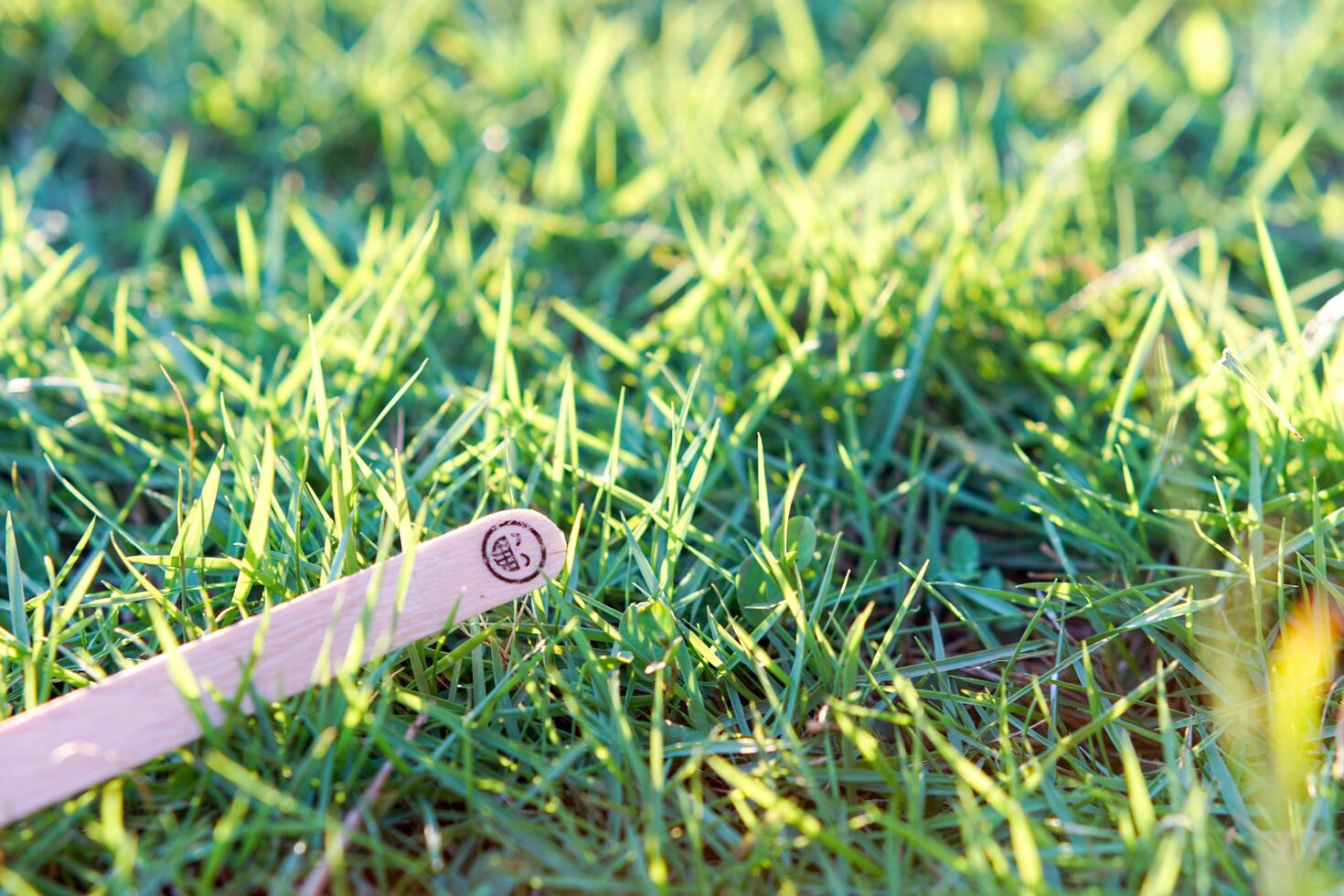 close up of smiling emoji on a popsicle stick as a concept of the spirit of life photo