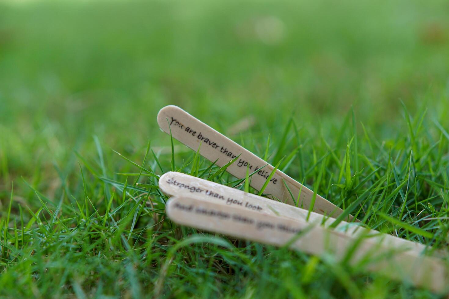 close up of the message on the ice cream stick on the grass as a concept of the spirit of life photo