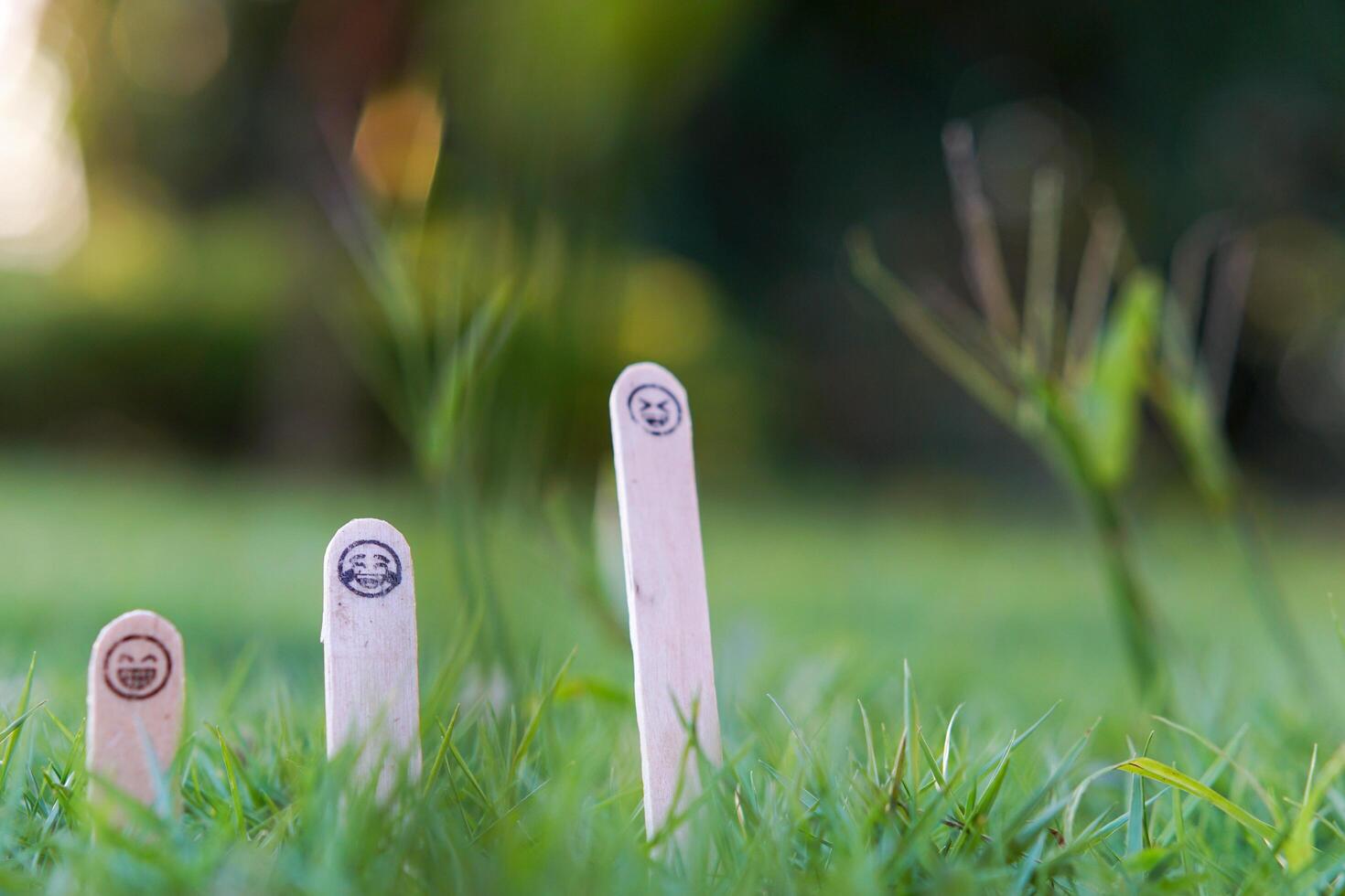 close up of smiling emoji on a popsicle stick as a concept of the spirit of life photo