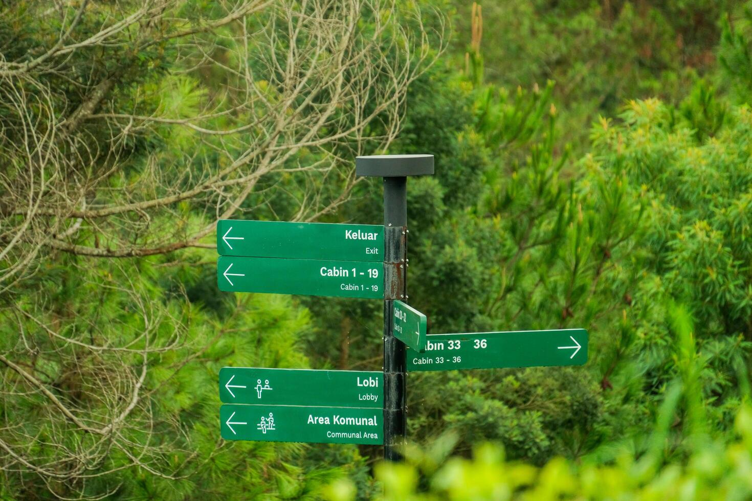 Signpost directing to various locations in a scenic green environment. photo