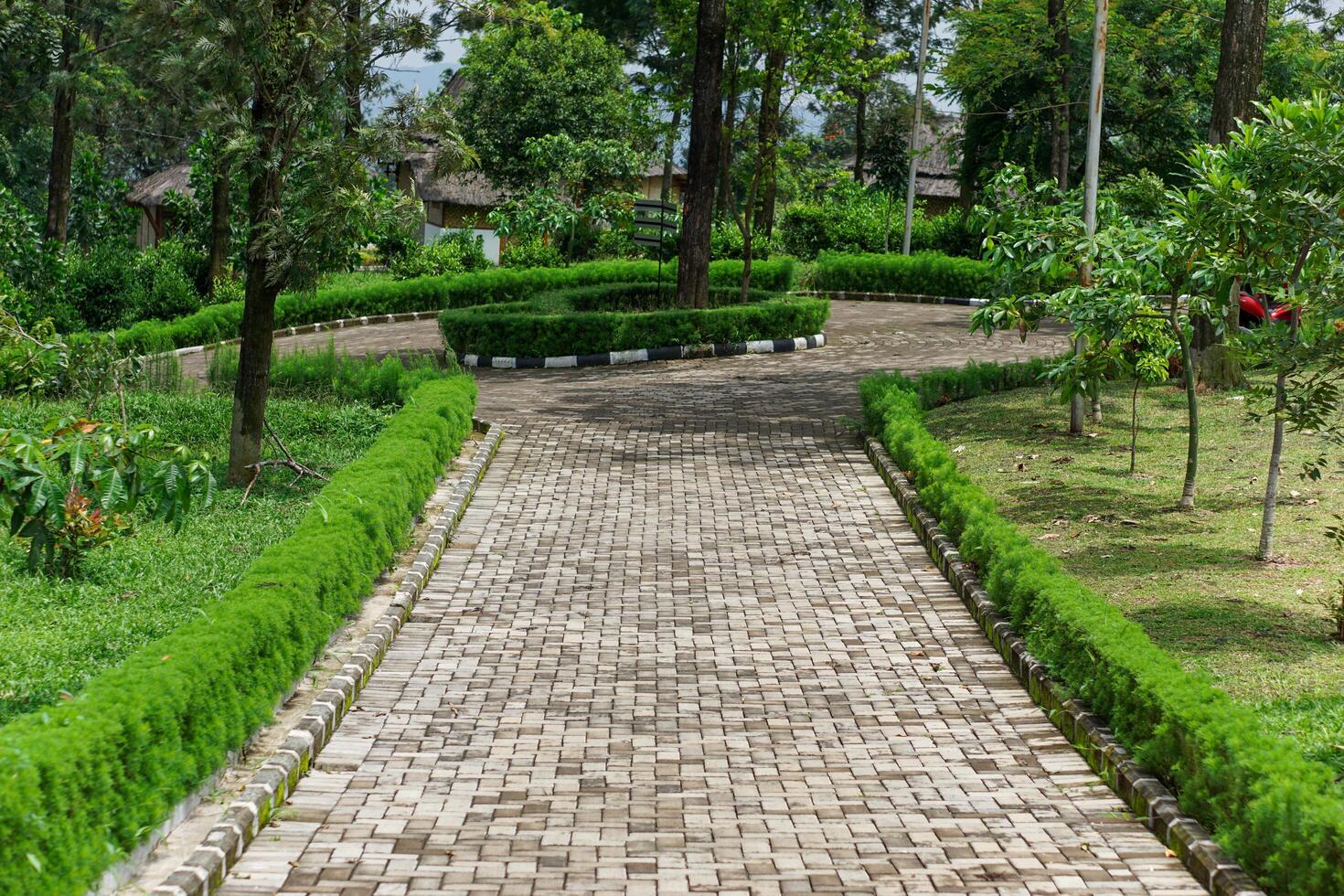 A tranquil path surrounded by lush greenery, perfect for walks and relaxation photo