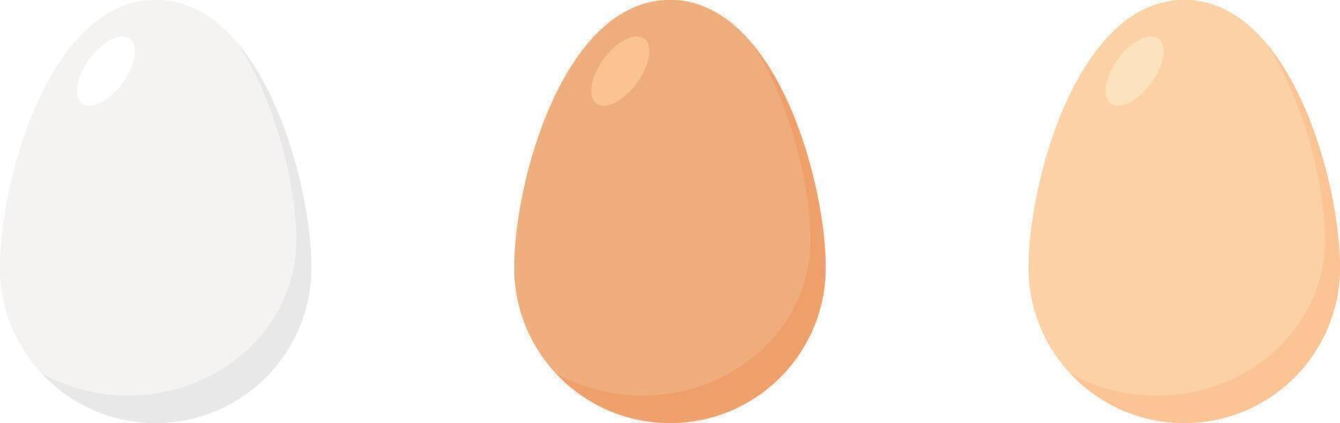 Set of chicken eggs in white, brown and light brown colors. vector
