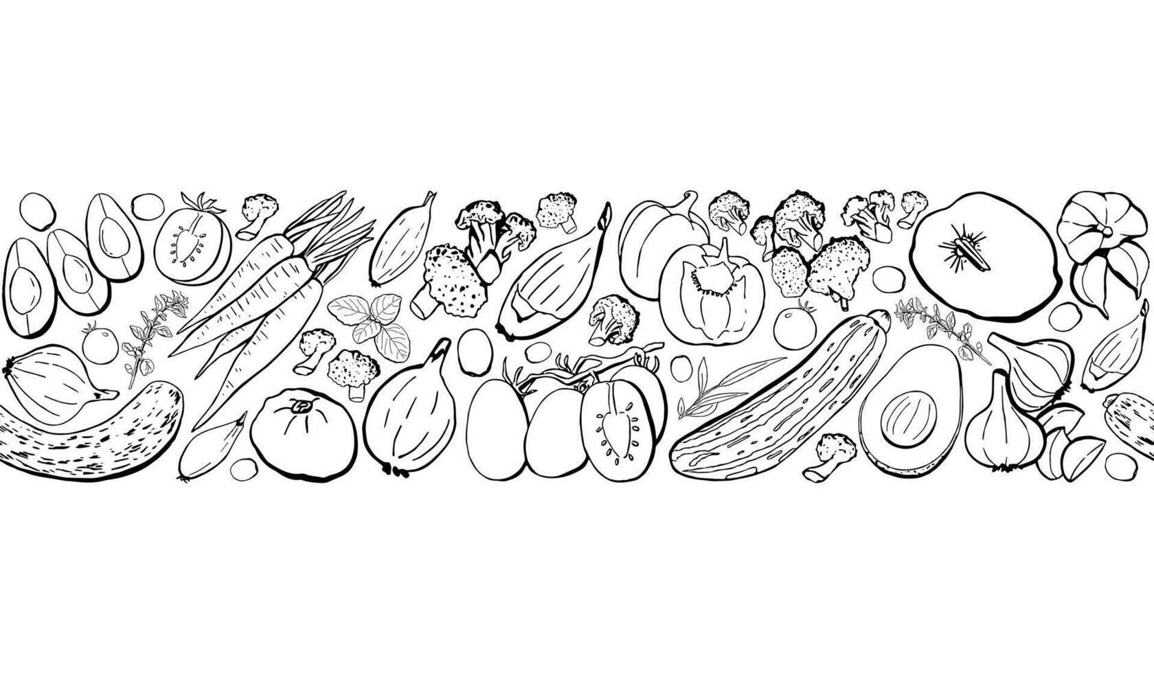 Vegetarian Food Border with Doodle Vegetables on White Background. Outline Illustration Top View vector