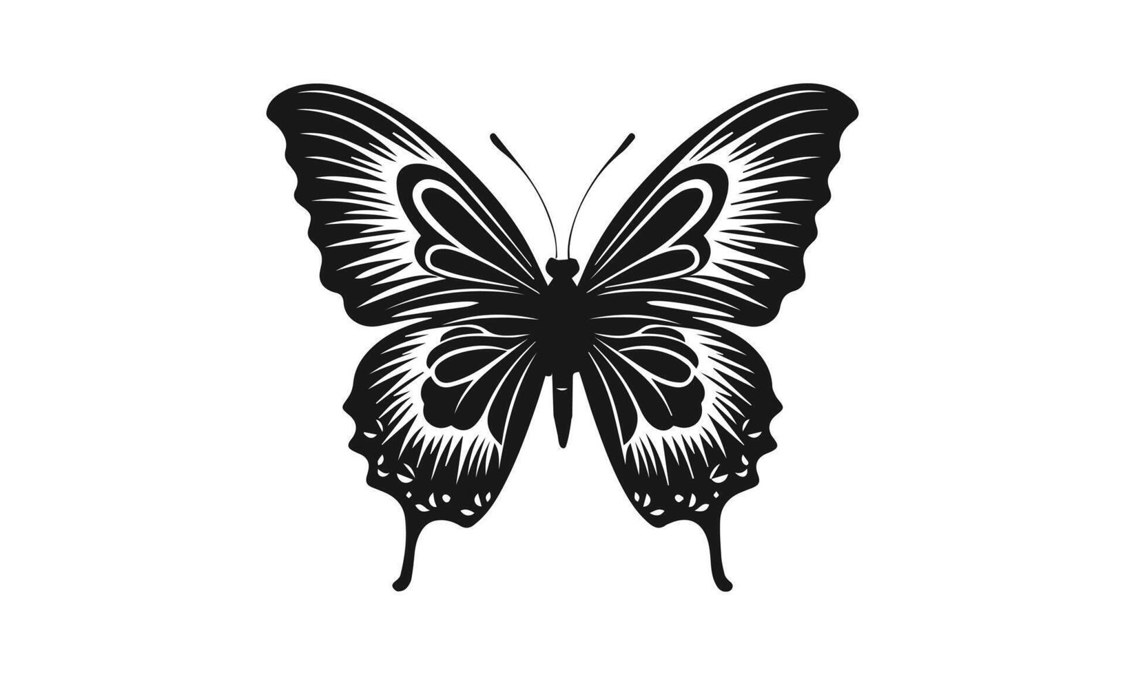 butterfly isolated on white butterflies silhouettes vector