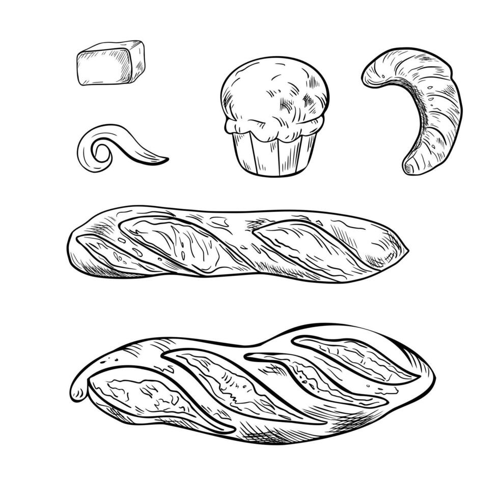 Brioche buns, baguette and croissant black white illustration on white. Assorted of French pastries and milk butter curl, piece in monochrome drawing by ink. Artisan rye loaf and bread sketch. vector