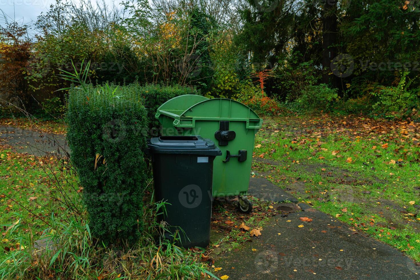 An overgrown garden area features a green trash bin and a black waste photo