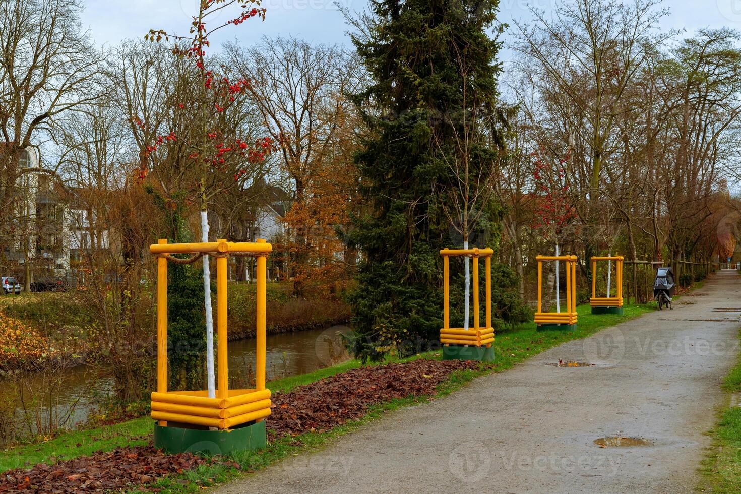 Bright yellow tree guards line a peaceful riverside path, surrounded photo