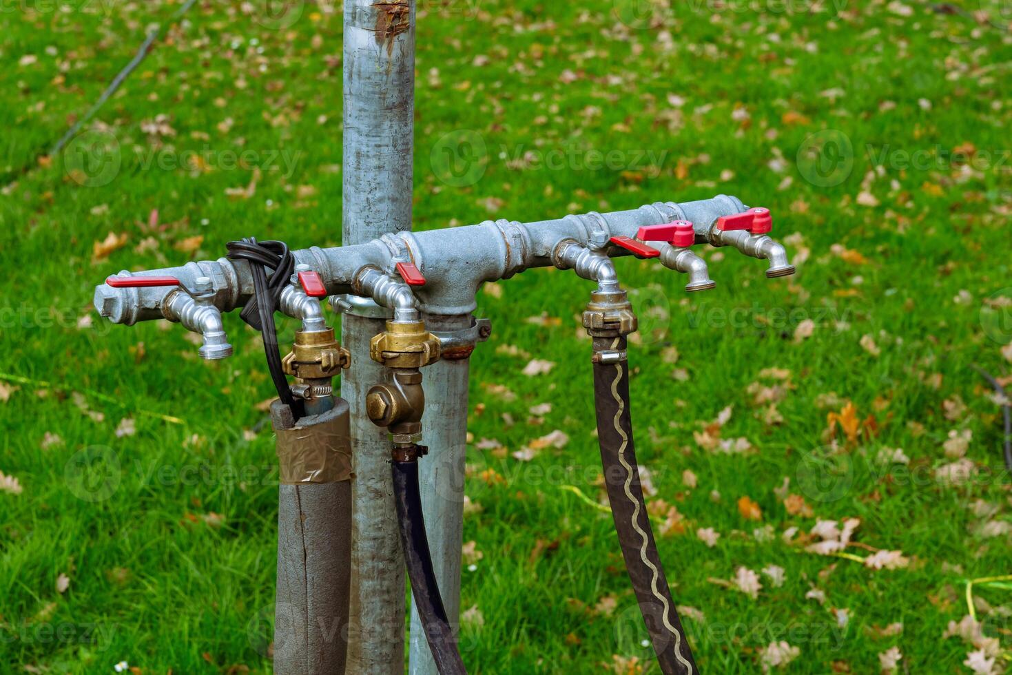 Several hose connections are attached to a metal pole in a grassy area photo