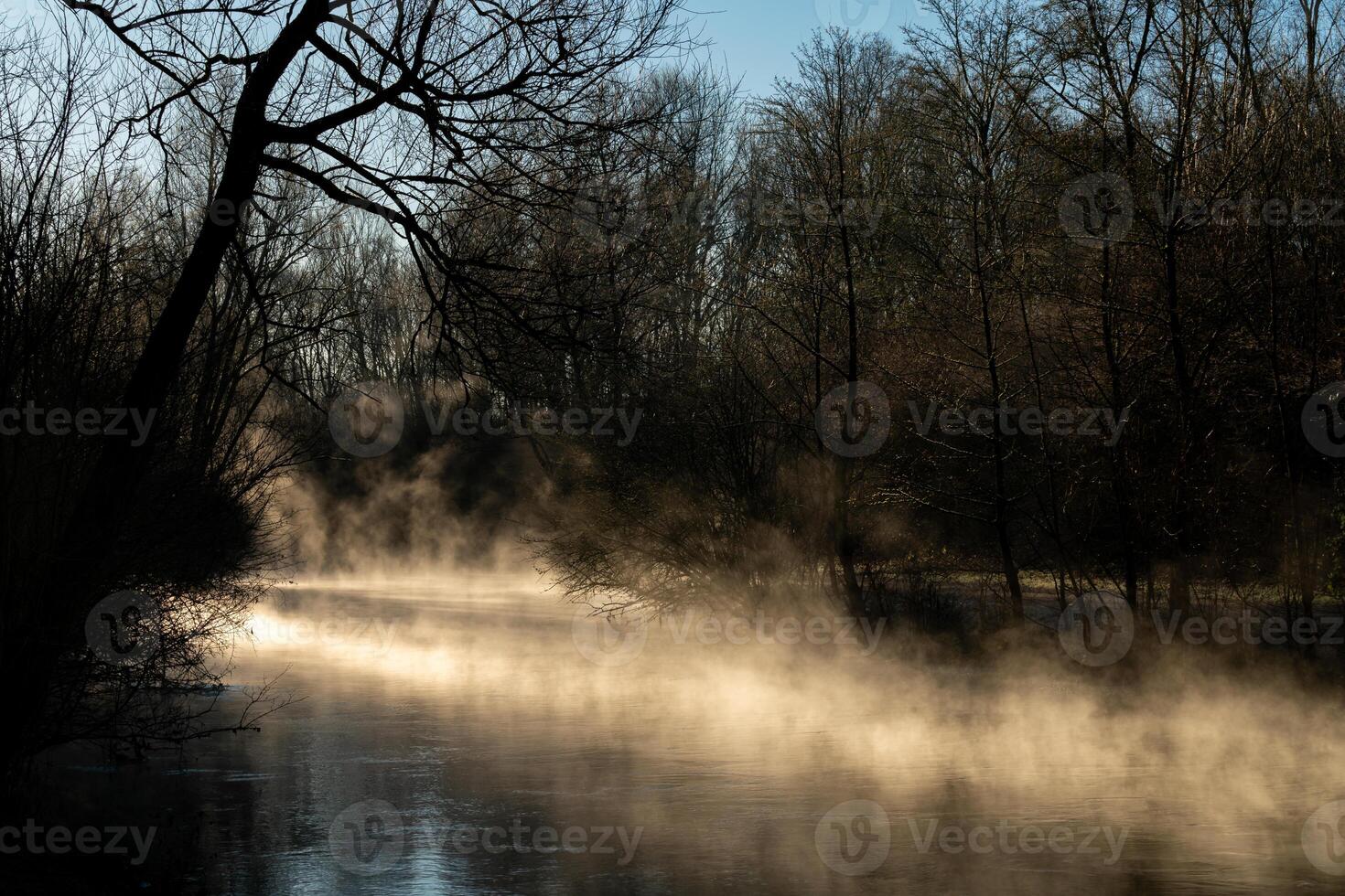 Morning mist rises above a tranquil river in a quiet forest setting photo